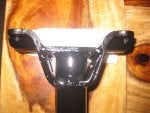 new stem pics 004.JPG