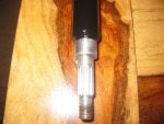 new stem pics 005.JPG